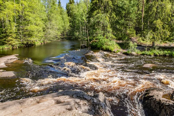 Tahmajoki nehir Ladoga Gölü Göl Ruokoyarvi akar. Nehir birçok rapids ve nehir tarifsiz güzellik vermek küçük şelaleler vardır. Karelya. Rusya.