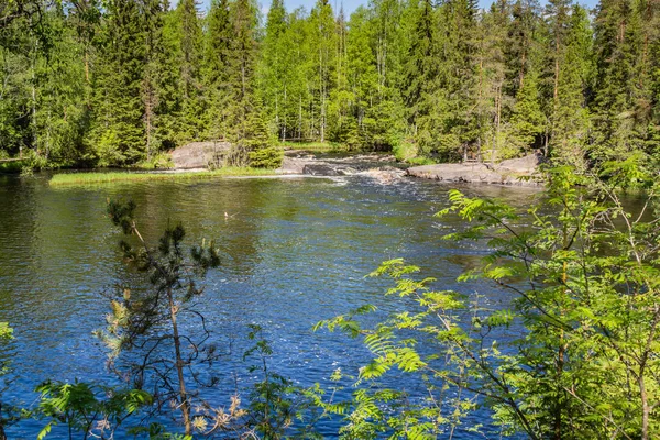 Floden Tahmajoki Rinner Från Sjön Ruokoyarvi Till Sjön Ladoga Floden — Stockfoto