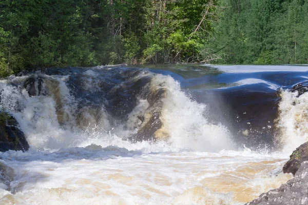 Su acele Streams kayaların arasına çalıştırıyor. Beyaz Köpük ve Sprey Güneş parıldıyor. Yeşil orman taş kıyısında büyür. Gökyüzü mavi rengini suya yansıtılır. Kivach şelale. Karelya. Rusya.