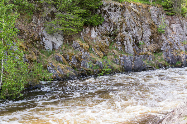 Running streams of water rush between the rocks. White foam and spray sparkles in the sun. The green forest grows on the stone banks. The blue color of the sky is reflected in the water. The Kivach waterfall. Karelia. Russia.