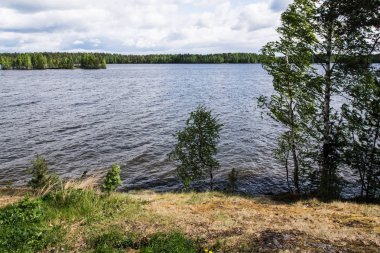 Göl güzellik. Mavi gökyüzünün suya yansıtılır. Rüzgar küçük bir dalgalanma gölün yüzeyi boyunca döner. Yeşil ağaçlar su için inerler. Plaj taş Dağları'nın kalıntıları oluşur. Konchozero. Karelya. Rusya.