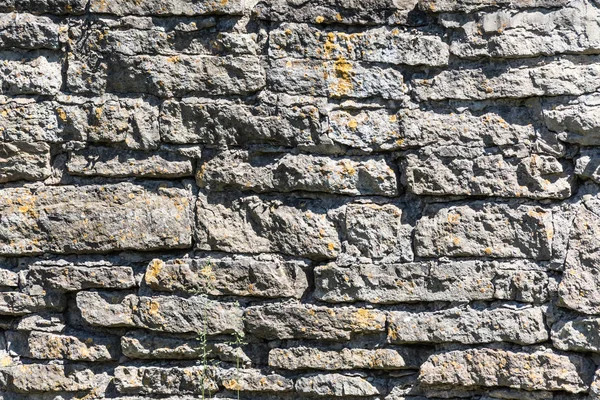 La vieja pared de piedras grises —  Fotos de Stock