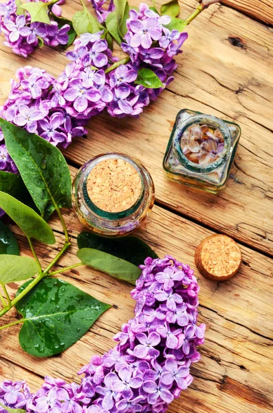 Бутылка Существенного Экстракции Lilac Healing Herbs Alternative Медицины Травяной Медицины — стоковое фото