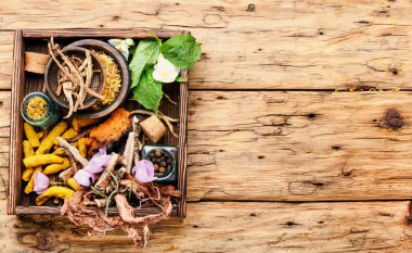 Doğal bitkisel tıp, şifalı bitkiler ve bitkisel şifalı kök. Doğal otlar tıp. Kopya alanı