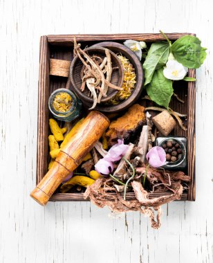 Doğal bitkisel tıp, şifalı bitkiler ve bitkisel şifalı kök. Doğal otlar tıp