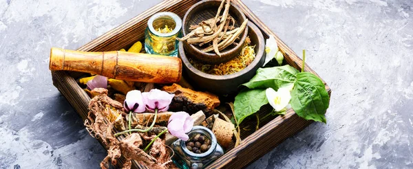 Natural herbal medicine,medicinal herbs and herbal medicinal root.Natural herbs medicine