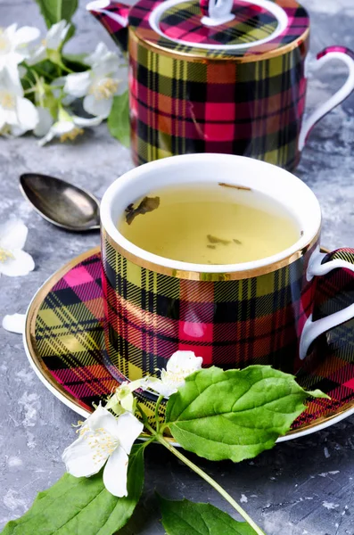 Jázmin Virág Tea Teáscsésze Zöld Tea — Stock Fotó