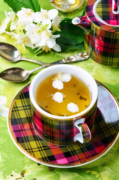 ジャスミンの花からのお茶の茶碗 グリーン ティー — ストック写真