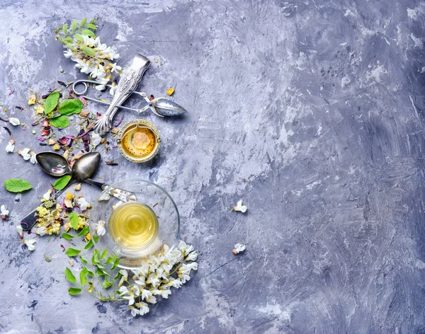 Menyembuhkan Teh Herbal Dengan Madu Dari Bunga Acacia Teh Herbal — Stok Foto