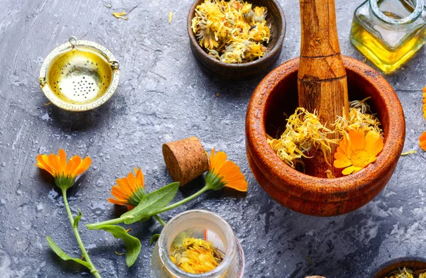 Curación Flores Caléndula Tintura Hierbas Hierbas Medicinales —  Fotos de Stock