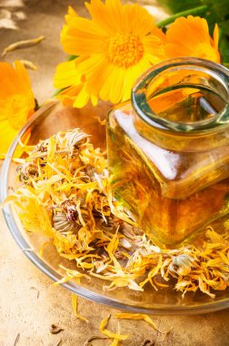 Calendula çiçek ve bitki tentür şifa. Aromaterapi uçucu yağ