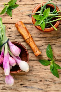 Bahar hasat taze soğan. Yeşil soğan. Soğan yemek pişirmek için