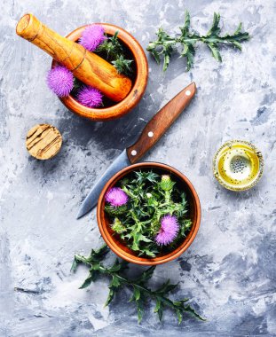 Vahşi şifalı otlar thistle harç içinde. Bitkisel ilaç. Onopordum.Herbalism.Thistle