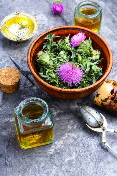 Healing Plant Thistle Medical Bottles Extract Herbalism — Stock Photo, Image