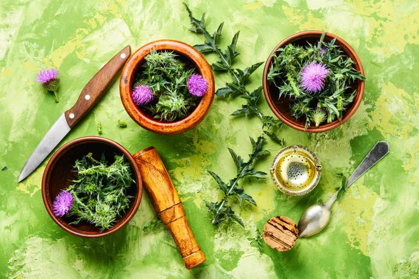 Wild Healing Herbs Thistle Mortar Herbal Medicine Onopordum Herbalism Thistle — Stock Photo, Image