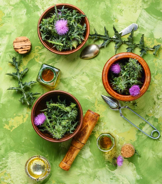 Şifalı Bitki Thistle Özü Ile Tıp Şişeler Herbalism — Stok fotoğraf