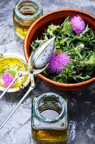 Planta Curativa Cardo Frascos Médicos Con Extracto Herbalismo —  Fotos de Stock