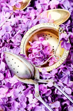 Eflatun çiçekler ve çay öznitelikleri ile çay arka plan. Bitkisel çay.