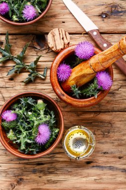 Vahşi şifalı otlar thistle harç içinde. Bitkisel ilaç. Onopordum.Thistle.Natural bitkisel ilaç