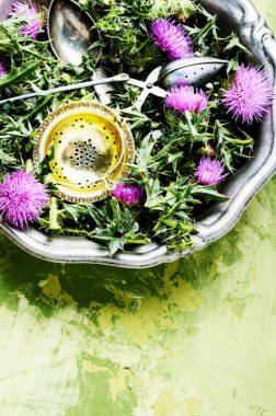şifalı otlar thistle harç içinde. Bitkisel ilaç. Tea.Onopordum.Thistle.Natural bitkisel ilaç