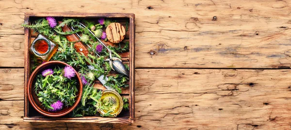 Şifalı bitki thistle ve özü ile tıp şişeler. Herbalism