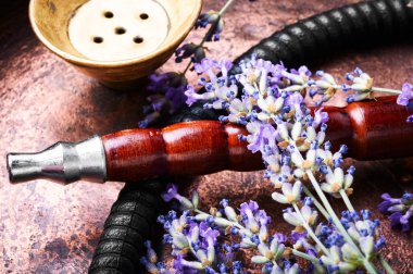 Eflatun çiçek nargile sigara. Shisha kavramı. Nargile kavramı