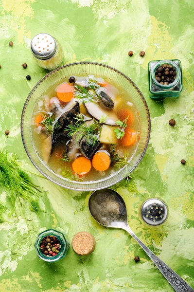 Diet vegetarian soup with forest mushrooms in bowl — Stock Image Diet Vegetarian Soup Forest Mushrooms Bowl Royalty Free Stock Images