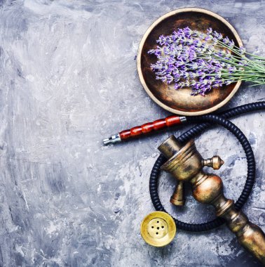 Eflatun çiçek nargile sigara. Shisha kavramı. Nargile kavramı