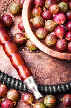 Oryantal nargile aroma Bektaşi üzümü relax için ile. Bektaşi üzümü shisha