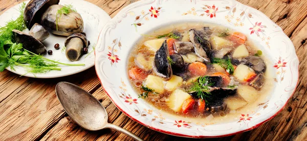 Soupe Végétarienne Diététique Aux Champignons Forestiers Dans Bol — Photo