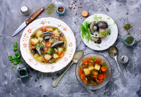 Diet vegetarian soup with forest mushrooms in bowl — Stock Image Diet Vegetarian Soup Forest Mushrooms Bowl Royalty Free Stock Images