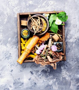 Doğal bitkisel tıp, şifalı bitkiler ve bitkisel şifalı kök. Doğal otlar tıp