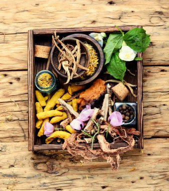 Doğal bitkisel tıp, şifalı bitkiler ve bitkisel şifalı kök. Doğal otlar tıp. Şifalı otlar