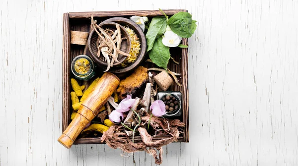 Doğal bitkisel tıp, şifalı bitkiler ve bitkisel şifalı kök. Doğal otlar tıp. Şifalı otlar