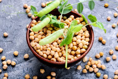 Nohut-Orta Doğu mutfağından geleneksel yemekleri yemek için. Sağlıklı gıda