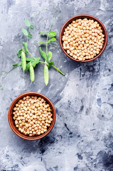 Chickpeas - food product popular in the Middle East, for cooking traditional dishes.Healthy and vegetarian food