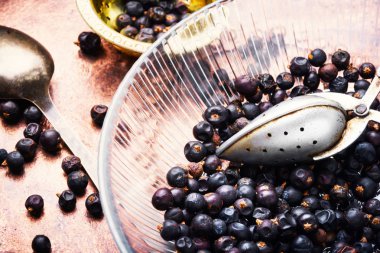 Çaylar ve özleri şifa için hazırlanan kuru ardıç meyveleri yığını