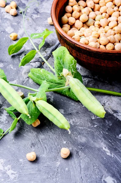 Nohut-Orta Doğu mutfağından geleneksel yemekleri yemek için. Sağlıklı gıda