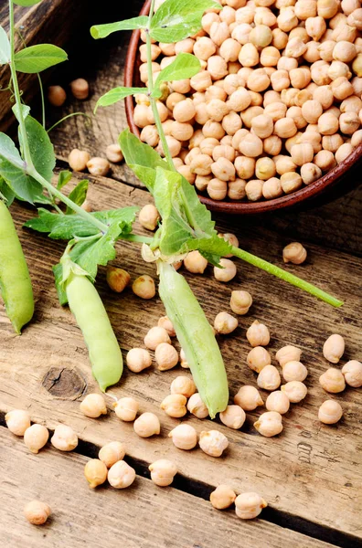 Nohut - gıda ürün popüler geleneksel yemekleri pişirme için orta doğuda. Sağlıklı ve vejetaryen gıda