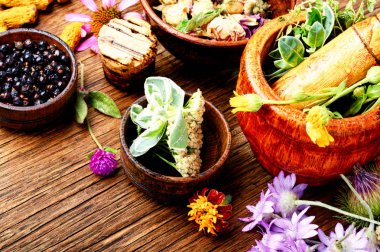 Çeşitli ham tıbbi bitkiler ve çiçekler. Alternatif Tıp kavramı. Bitkisel ilaç