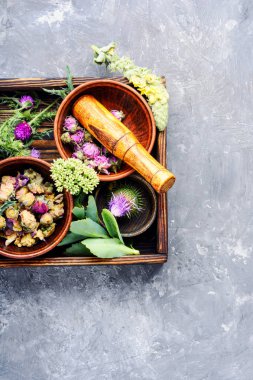 Çeşitli ham tıbbi bitkiler ve çiçekler. Alternatif Tıp kavramı. Çeşitli tıbbi tedavi edici otlar