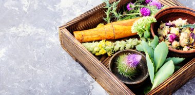 Çeşitli ham tıbbi bitkiler ve çiçekler. Alternatif Tıp kavramı. Bitkisel ilaç