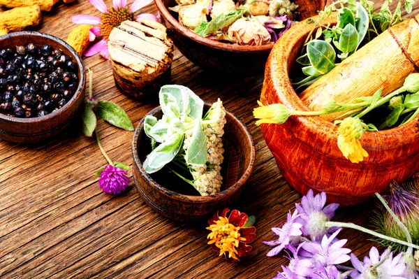 Çeşitli ham tıbbi bitkiler ve çiçekler. Alternatif Tıp kavramı. Bitkisel ilaç