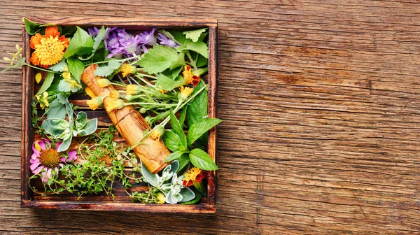 Çeşitli ham tıbbi bitkiler ve çiçekler. Alternatif Tıp kavramı
