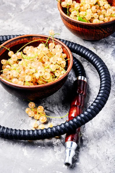 Relax için aroma beyaz kuş üzümü ile oryantal nargile. Beyaz kuş üzümü shisha