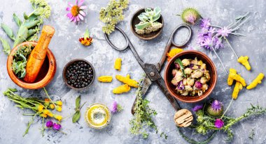 Çeşitli ham tıbbi bitkiler ve çiçekler. Alternatif Tıp kavramı. Çeşitli tıbbi tedavi edici otlar