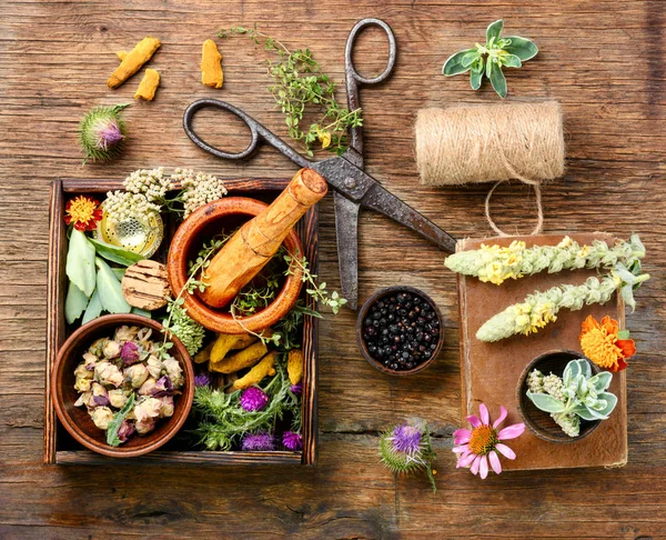 Çeşitli ham tıbbi bitkiler ve çiçekler. Alternatif Tıp kavramı. Bitkisel ilaç