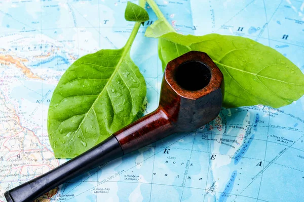 Курительная Труба Табачные Листья Карте Мира — стоковое фото