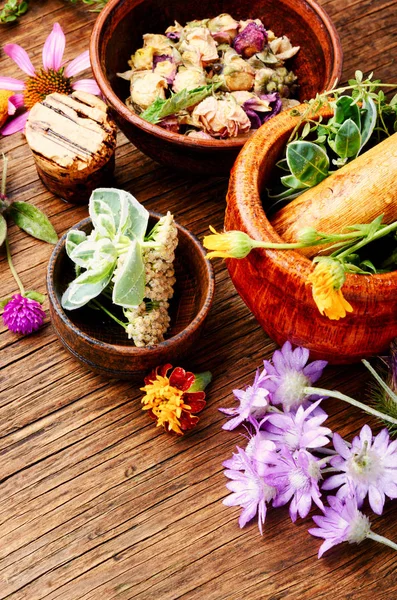 Varias Hierbas Flores Médicas Crudas Concepto Medicina Alternativa Medicina Herbal — Foto de Stock