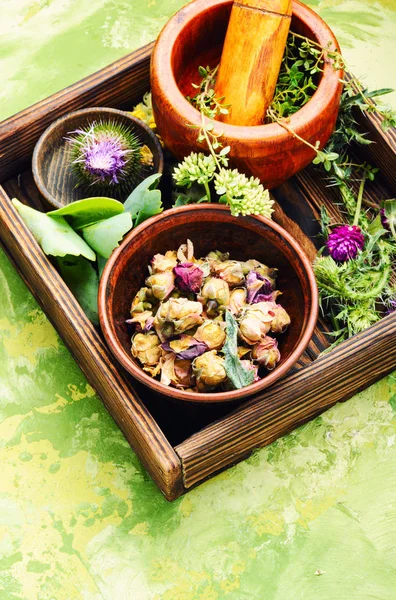 Çeşitli ham tıbbi bitkiler ve çiçekler. Alternatif Tıp kavramı